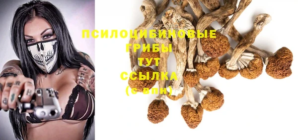 хмурый Нягань