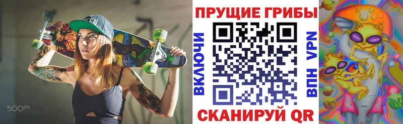 Псилоцибиновые грибы Cubensis  Нижний Ломов 